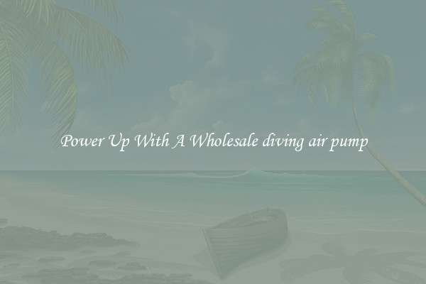 Power Up With A Wholesale diving air pump