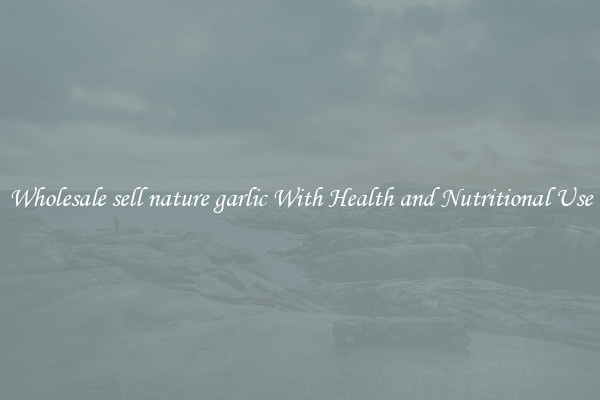 Wholesale sell nature garlic With Health and Nutritional Use
