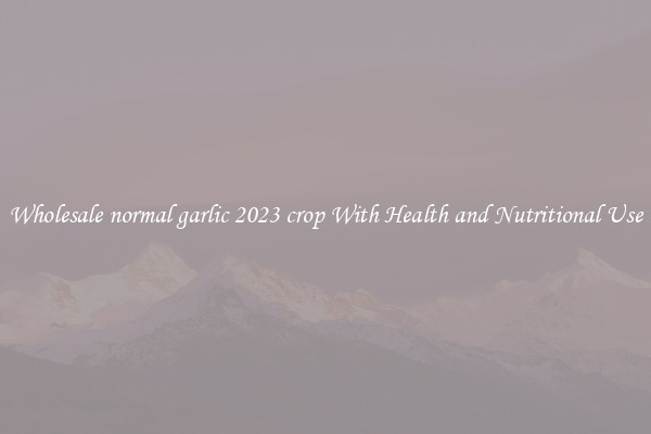 Wholesale normal garlic 2023 crop With Health and Nutritional Use