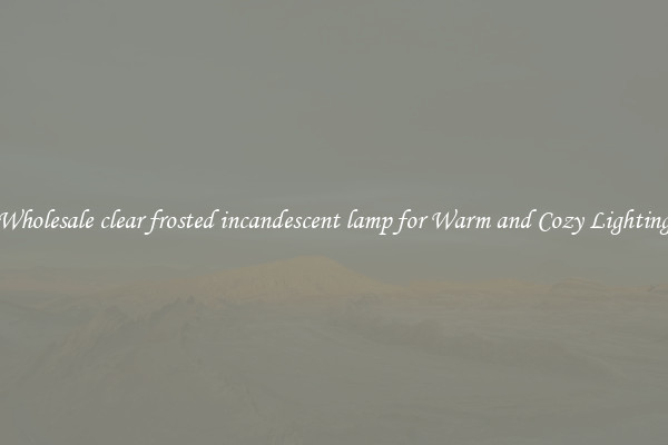 Wholesale clear frosted incandescent lamp for Warm and Cozy Lighting