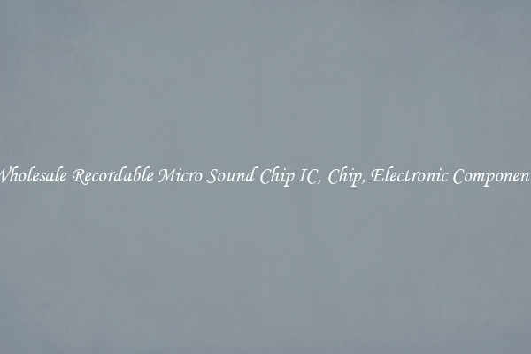 Wholesale Recordable Micro Sound Chip IC, Chip, Electronic Components
