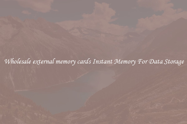 Wholesale external memory cards Instant Memory For Data Storage