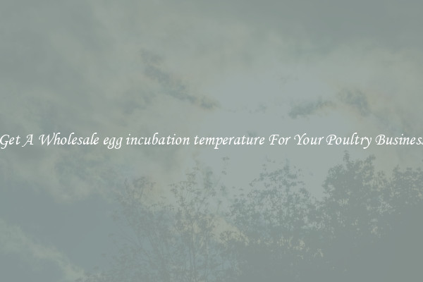 Get A Wholesale egg incubation temperature For Your Poultry Business