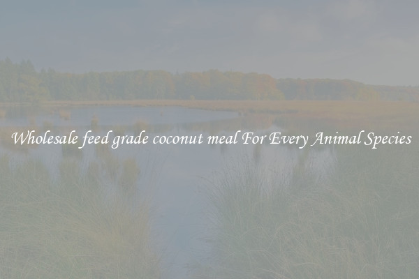 Wholesale feed grade coconut meal For Every Animal Species