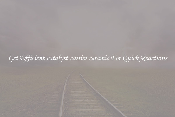 Get Efficient catalyst carrier ceramic For Quick Reactions