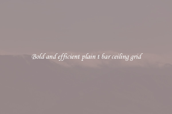 Bold and efficient plain t bar ceiling grid