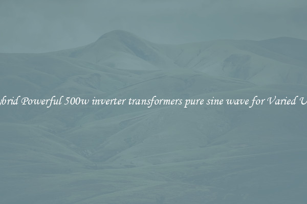 Hybrid Powerful 500w inverter transformers pure sine wave for Varied Uses