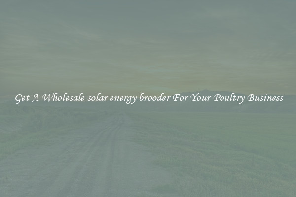 Get A Wholesale solar energy brooder For Your Poultry Business