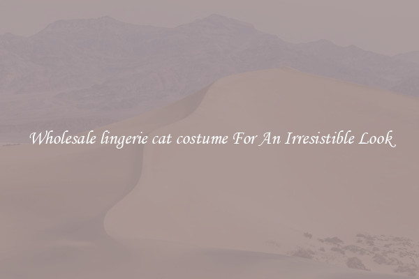 Wholesale lingerie cat costume For An Irresistible Look
