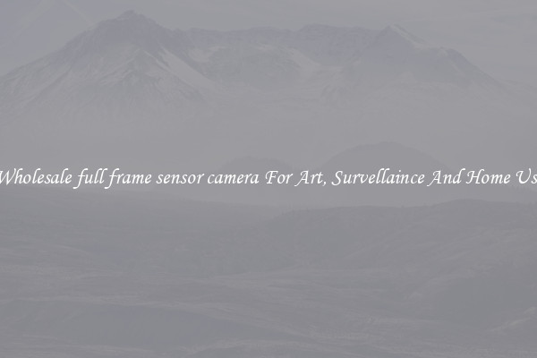 Wholesale full frame sensor camera For Art, Survellaince And Home Use