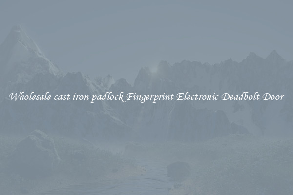 Wholesale cast iron padlock Fingerprint Electronic Deadbolt Door 