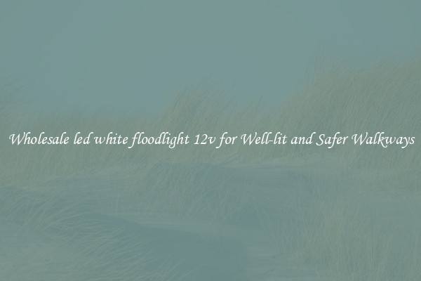 Wholesale led white floodlight 12v for Well-lit and Safer Walkways