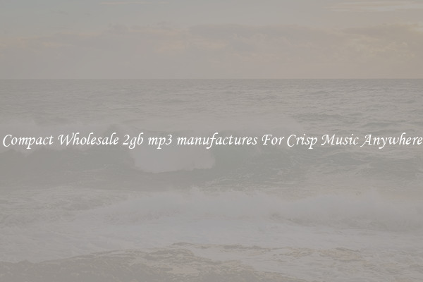 Compact Wholesale 2gb mp3 manufactures For Crisp Music Anywhere