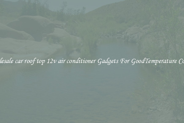 Wholesale car roof top 12v air conditioner Gadgets For GoodTemperature Control